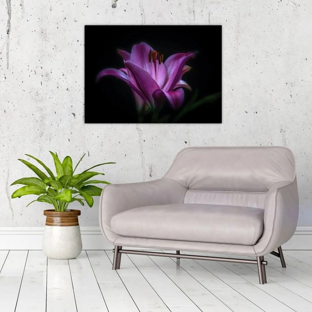 Obraz na szkle lilii (70x50 cm)