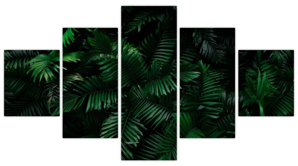 Obraz - Paprocie tropikalne (125x70 cm)