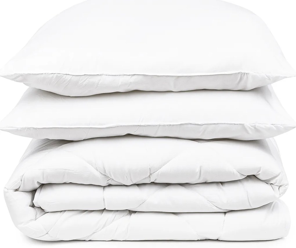 4Home Zestaw kołdry i poduszki Aloe Vera, 200 x 220 cm, 2 ks 70 x 90 cm