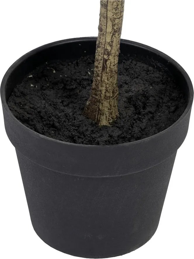 Sztuczny eukaliptus (wysokość 180 cm) Eucalyptus – Ixia