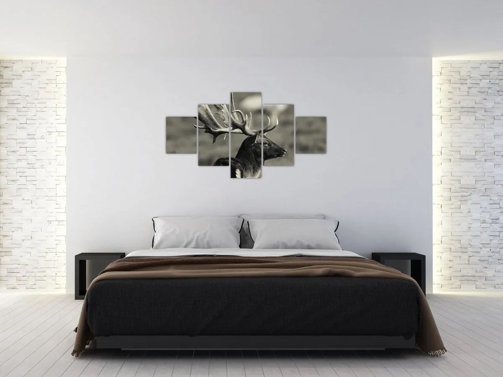 Obraz - Jeleń (125x70 cm)