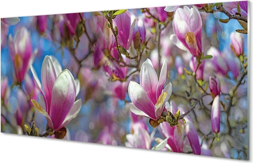 Szklany Panel Drzewa Magnolii w Rozkwicie