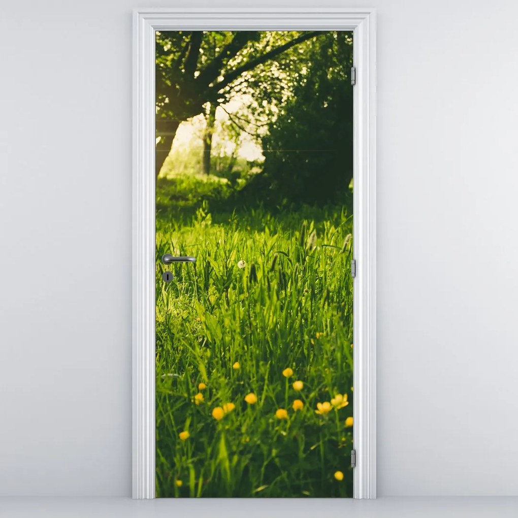 Fototapeta na drzwi - Łąka (95x205cm)