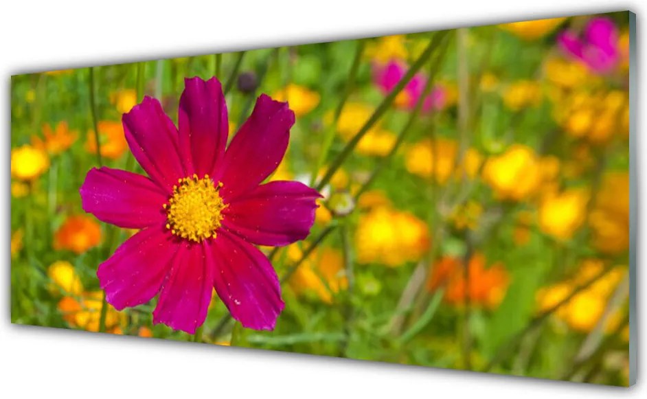 Panel Szklany Subtelny Pąk Kwiatowy