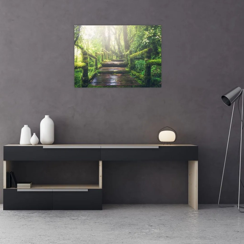 Obraz na szkle - drewniane schody w lesie (70x50 cm)