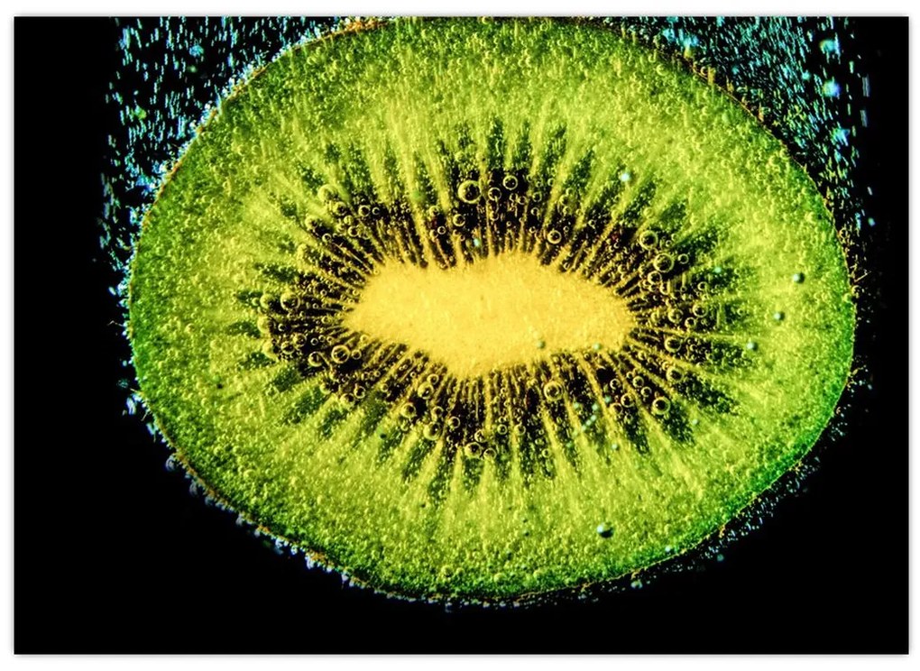 Obraz - szczegół kiwi w wodzie (70x50 cm)