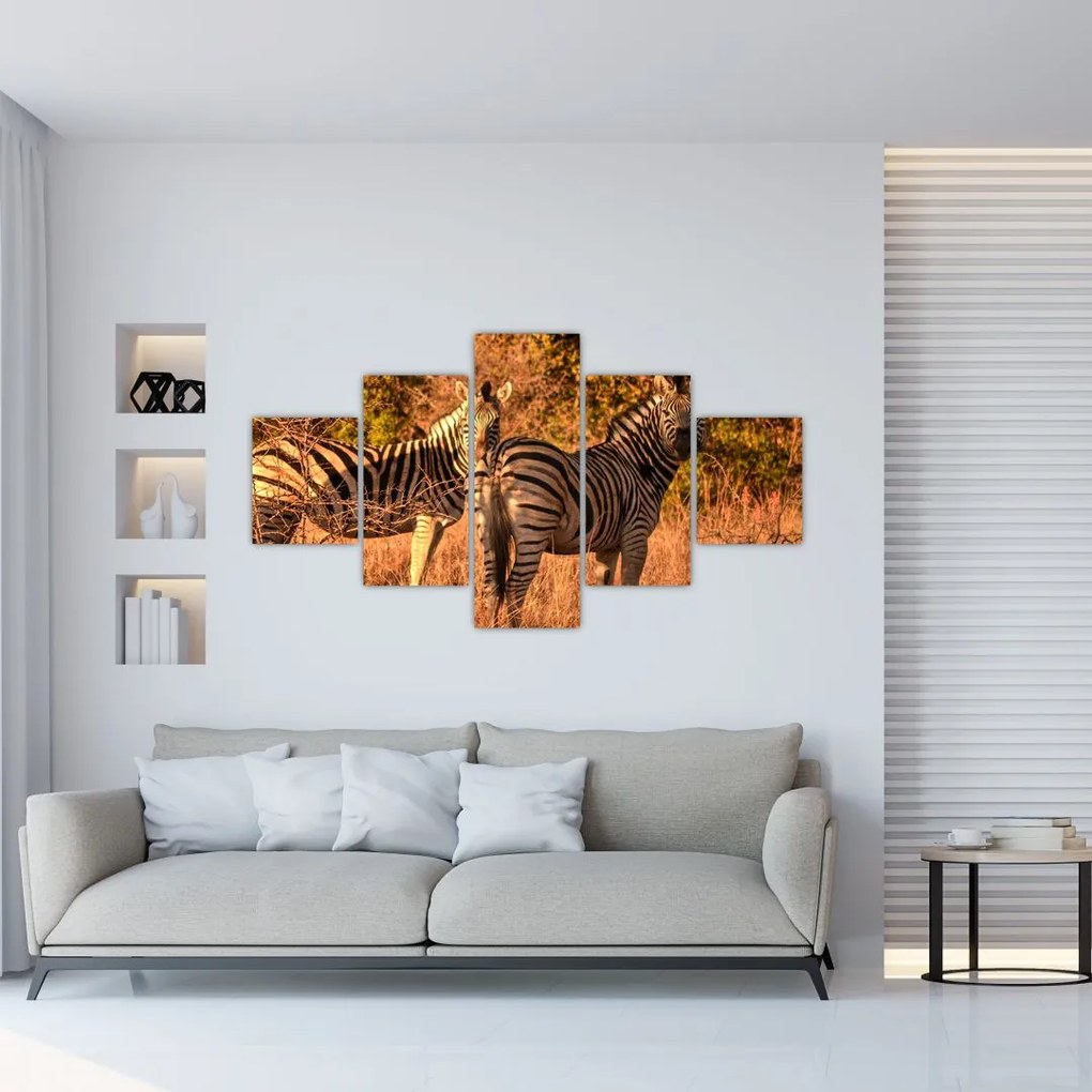 Obraz zebr (125x70 cm)
