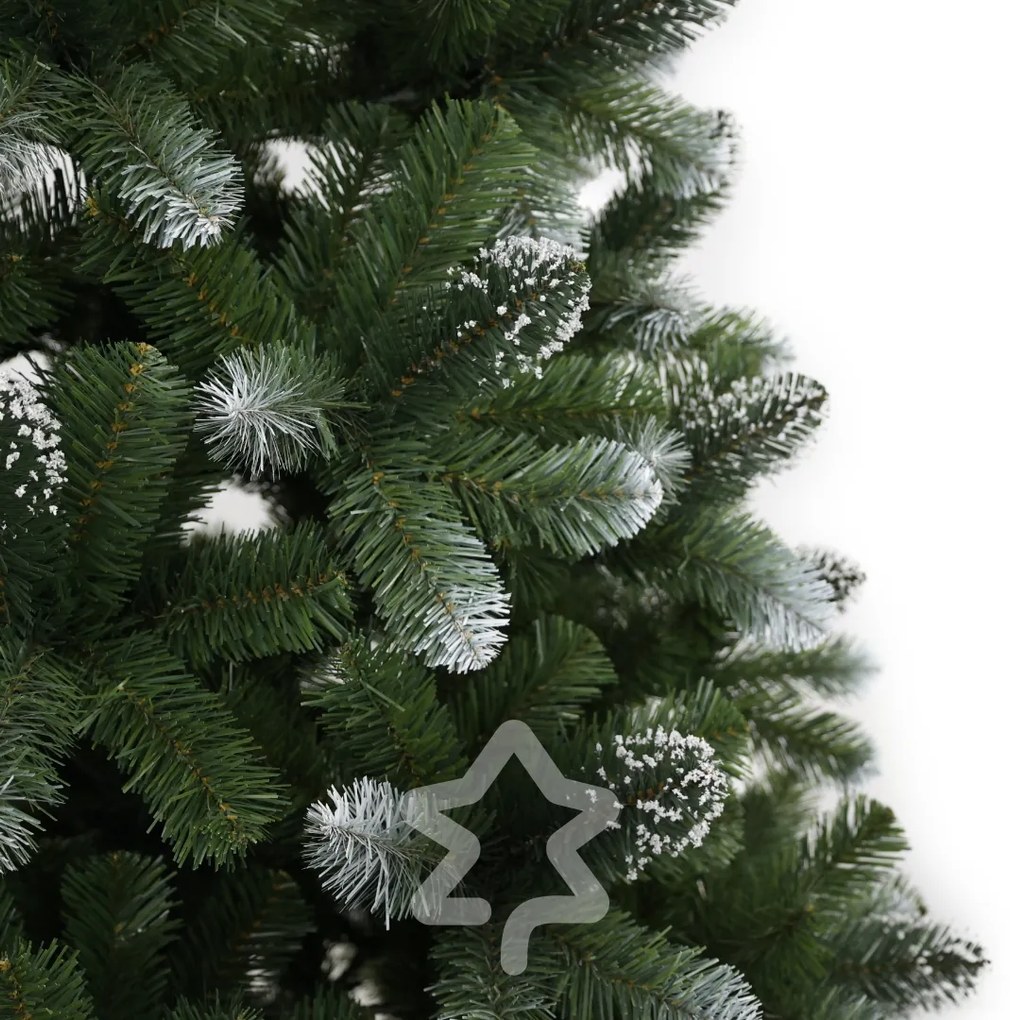 Sosna ośnieżona 150 cm