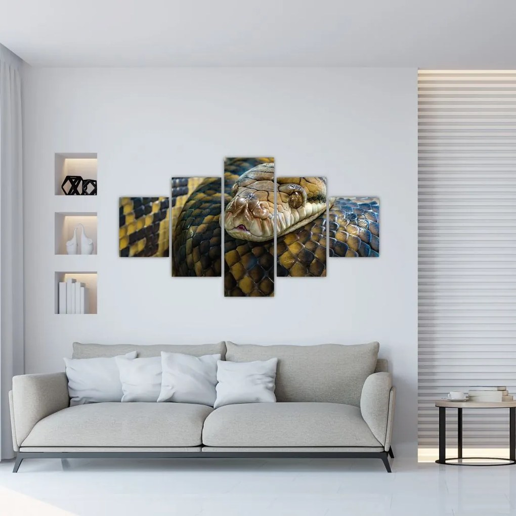 Obraz - Pyton (125x70 cm)