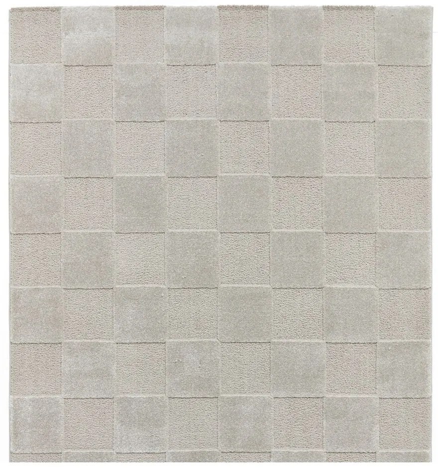 Jasnoszary dywan 200x290 cm Elio Silver – Think Rugs
