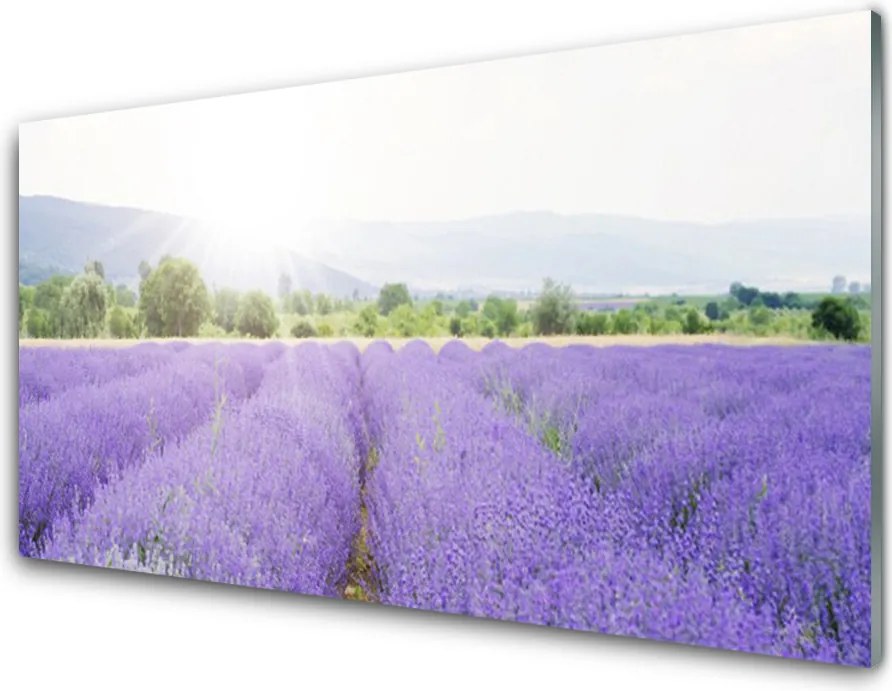 Panel Szklany Zapach Lawendowej Polany