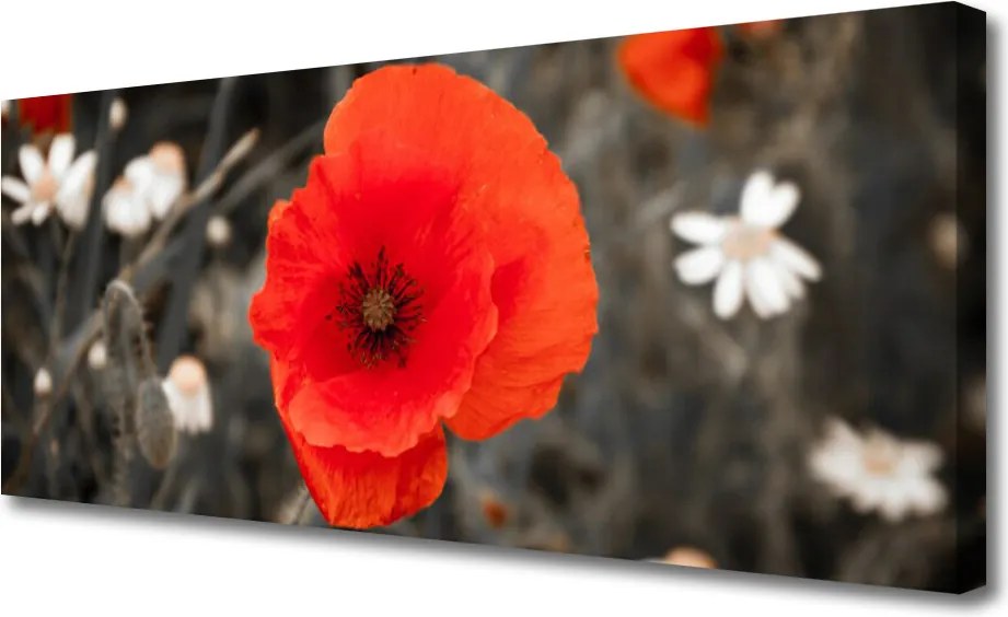 Obraz drukowany na płótnie Harmonijna Roślinność Kwiatowa