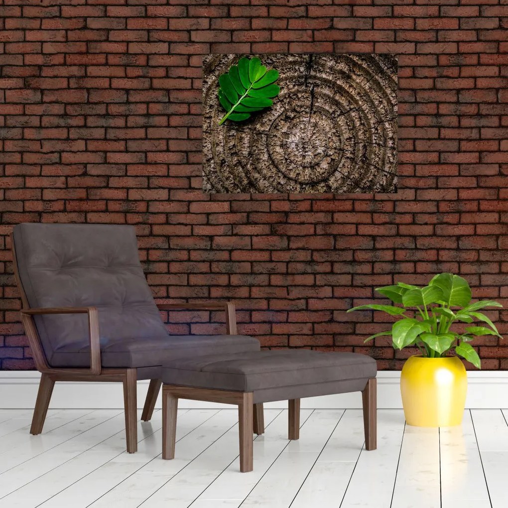 Obraz liścia na pniu drzewa (70x50 cm)