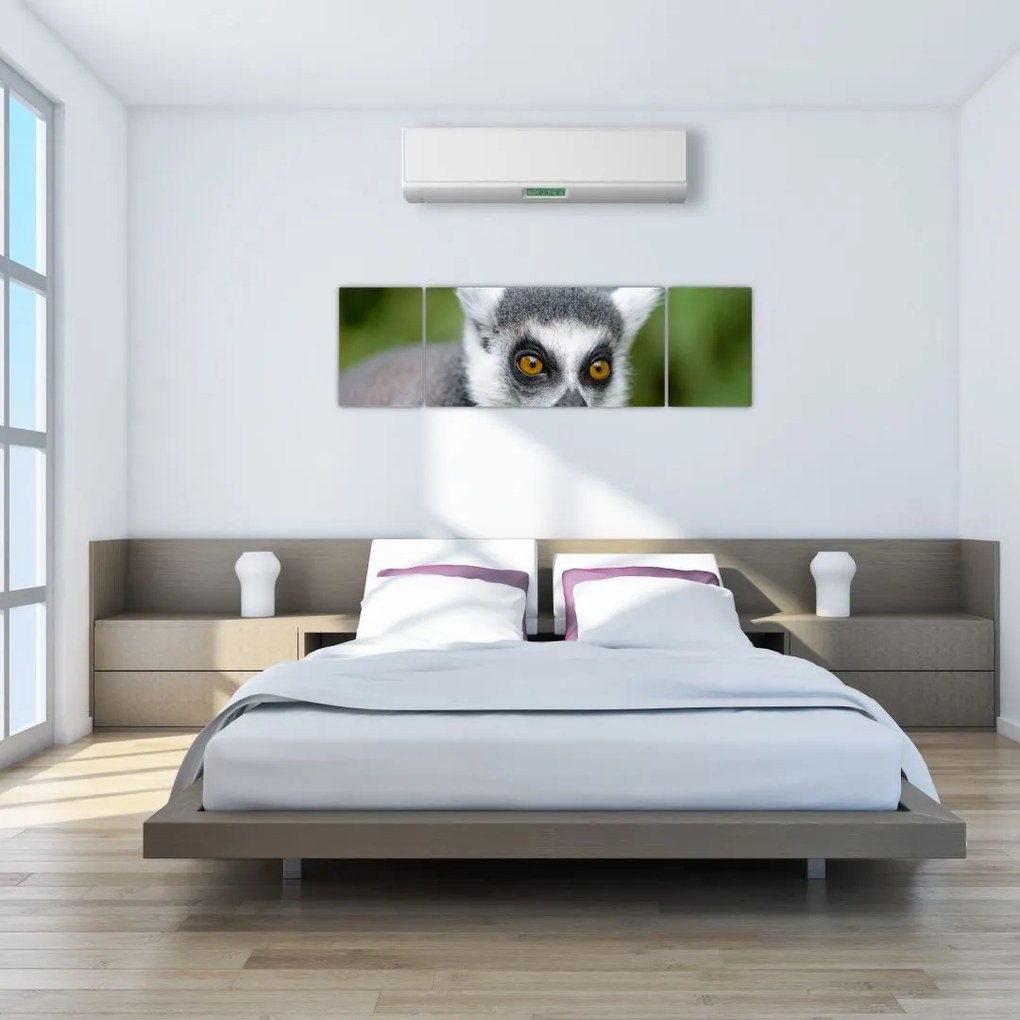 Obraz lemura (170x50 cm)
