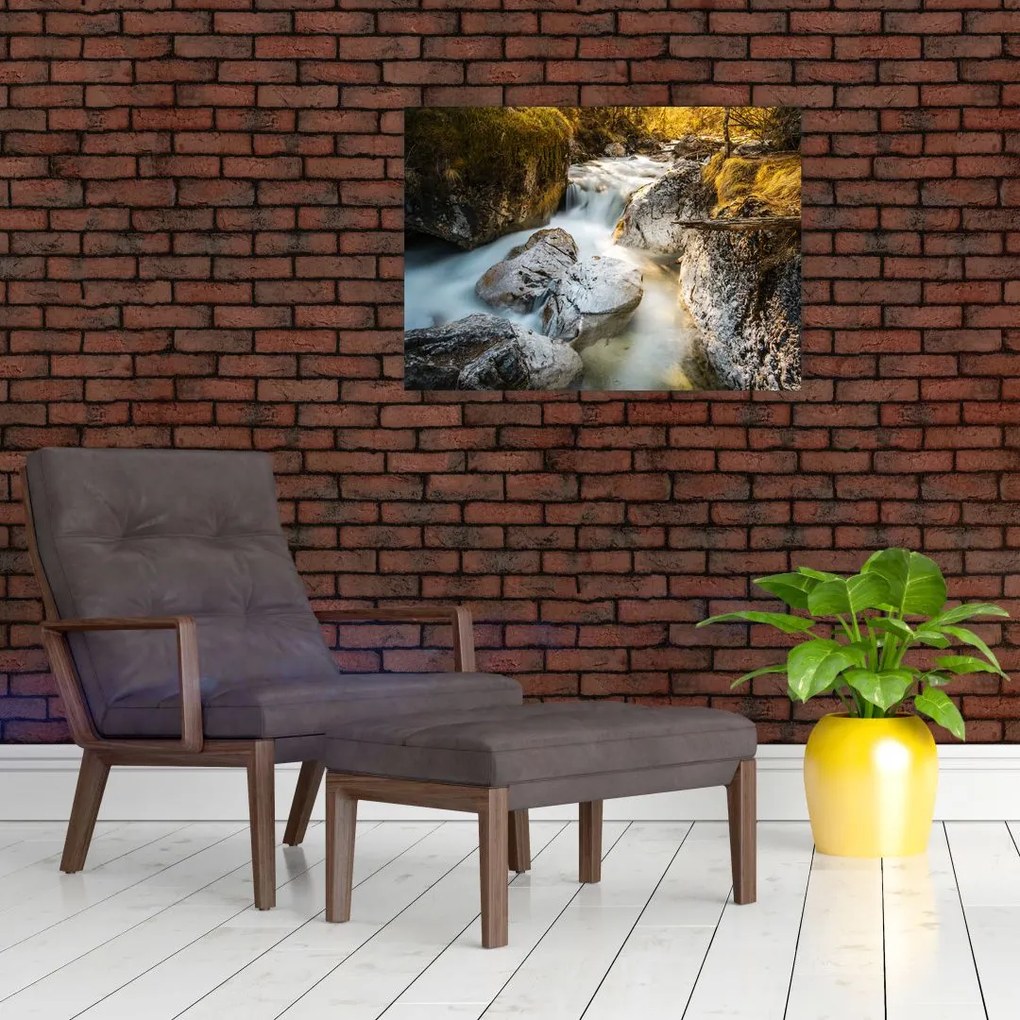 Obraz na szkle - Strumień leśny (70x50 cm)