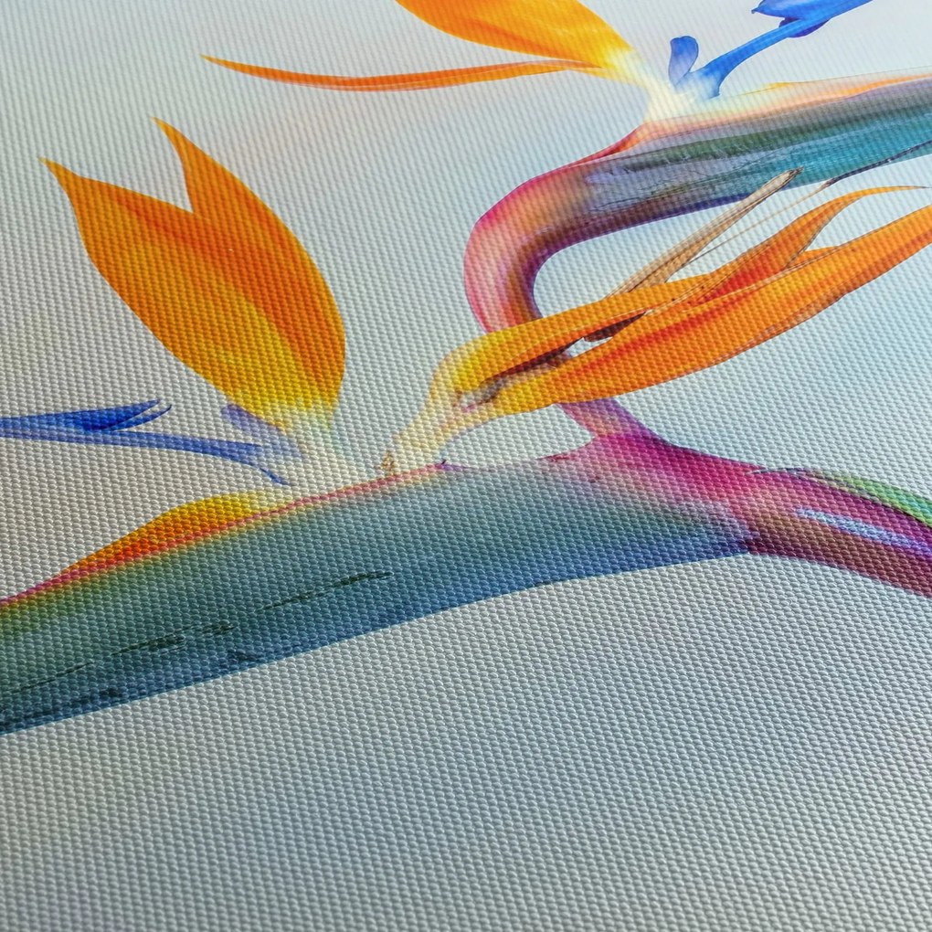 Obraz kwiatu Strelicji (170x50 cm)