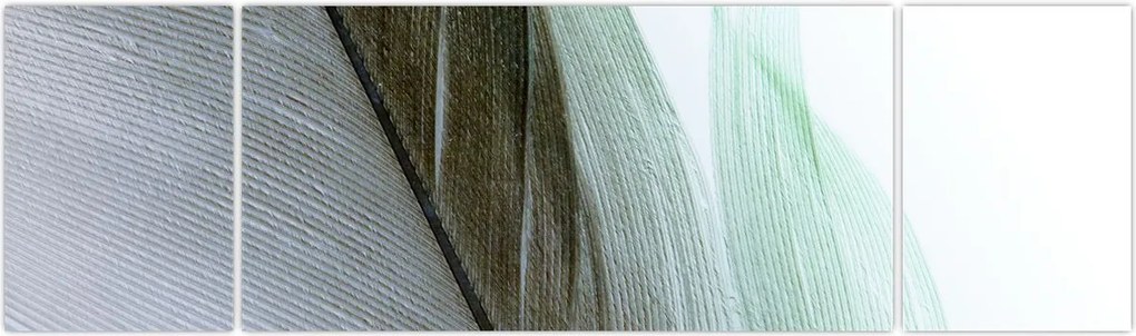 Obraz - Pióra, makro (170x50 cm)
