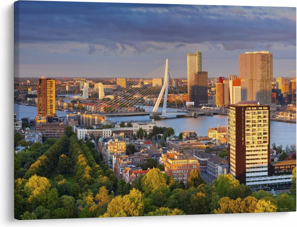 Obraz - Panorama Rotterdamu, Holandia (70x50 cm)