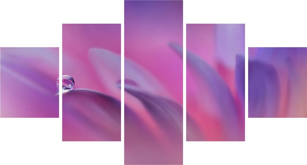 Obraz - Kropla na kwiecie (125x70 cm)