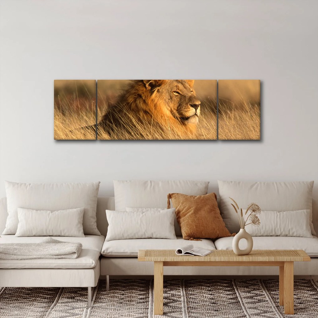 Obraz - Park Narodowy Etosha (170x50 cm)