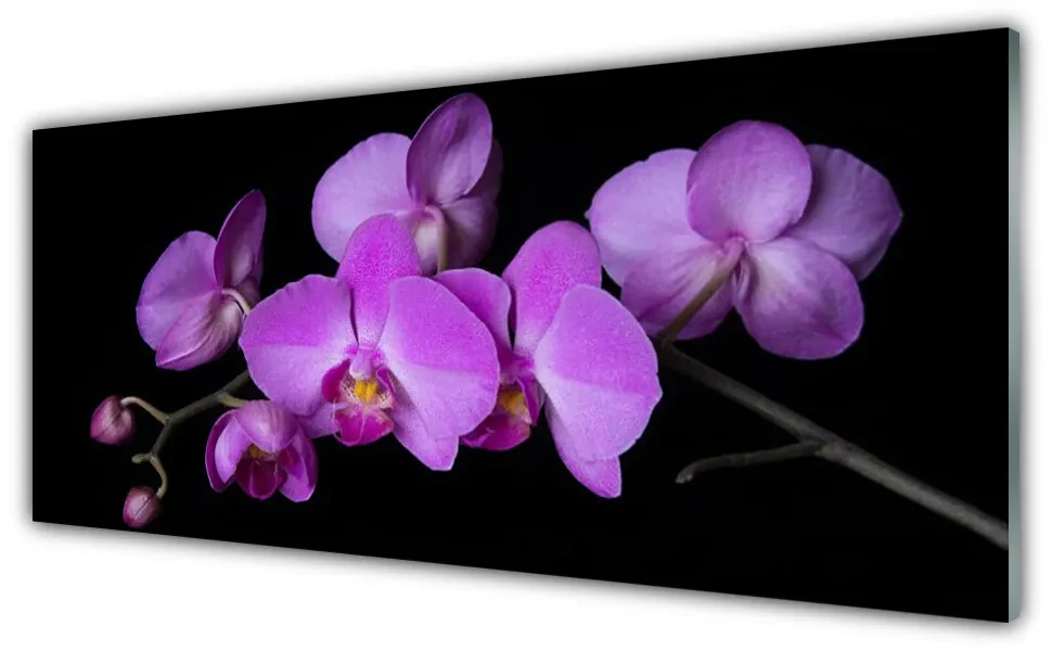 Obraz Szklany Storczyk Orchidea Kwiaty