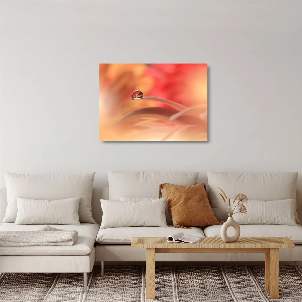 Obraz na szkle kwiecistej kropli rosy (70x50 cm)