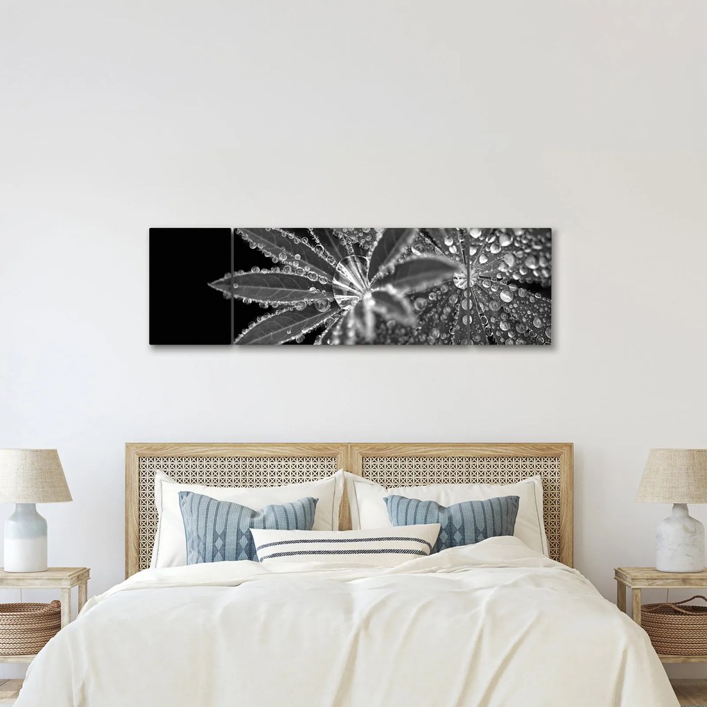 Obraz - Krople (170x50 cm)