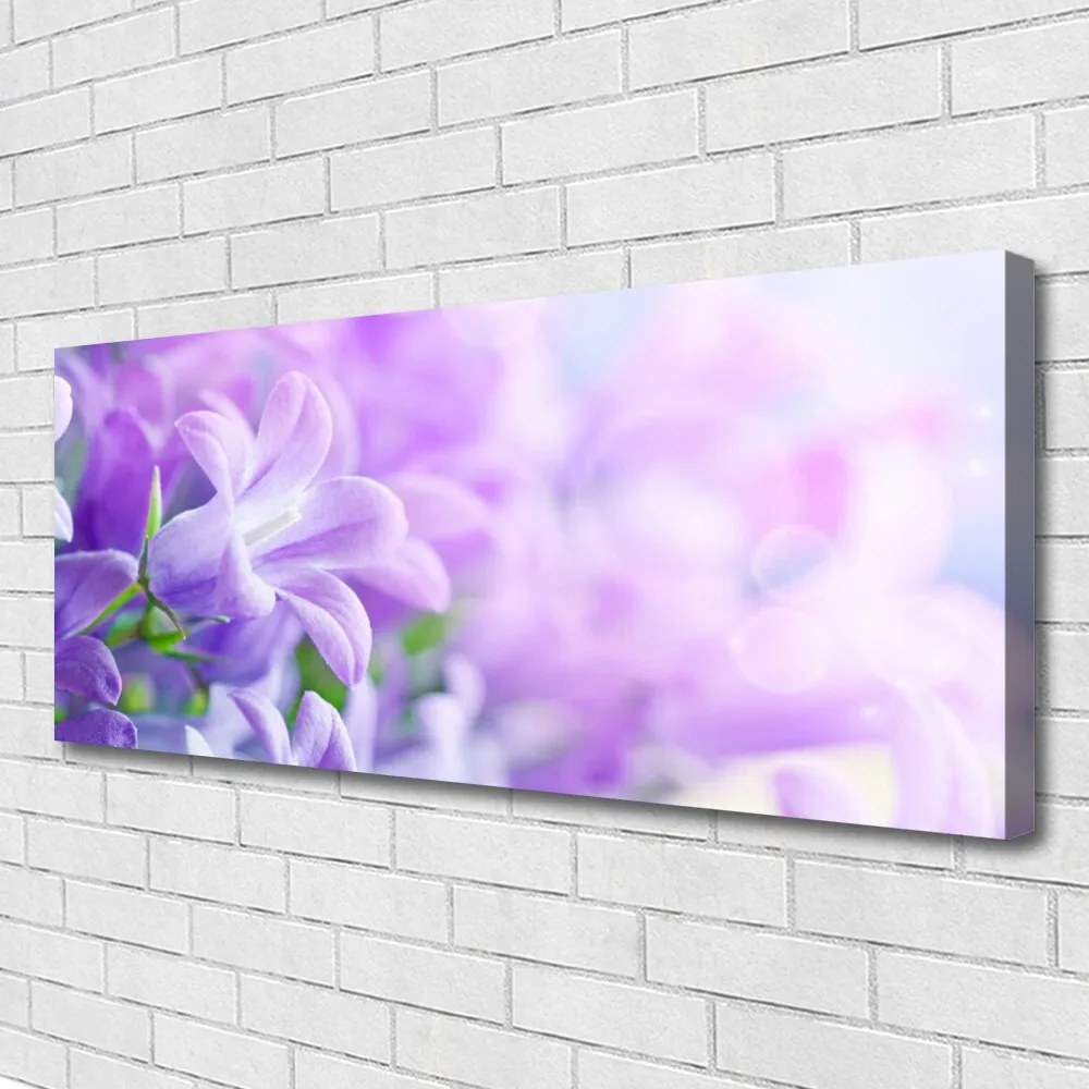 Obraz drukowany na płótnie Wykwintny Ogród Kwiatowy