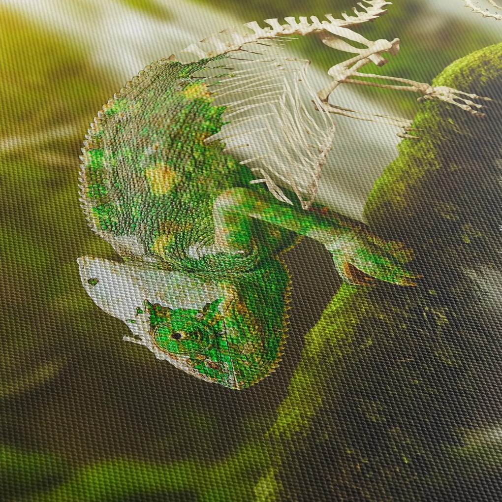 Obraz jaszczurki (170x50 cm)