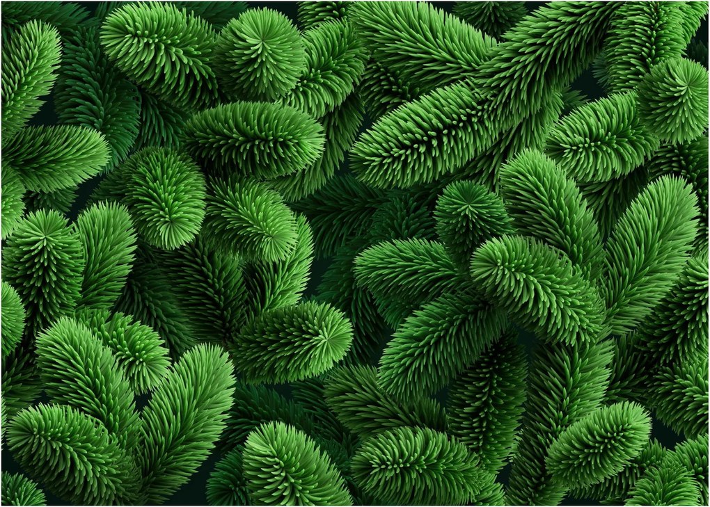 Obraz na szkle - Gałązki drzew iglastych (70x50 cm)