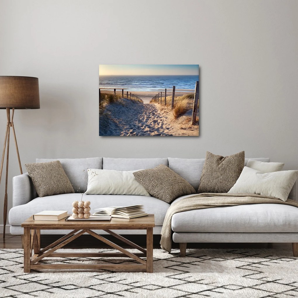 Obraz - Droga na plażę Morza Północnego, Holandia (70x50 cm)