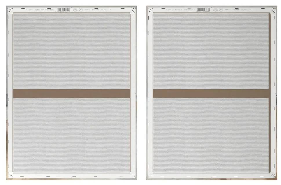 Obrazy z ręcznie malowanymi elementami zestaw 2 szt. 50x70 cm Breeze – Styler