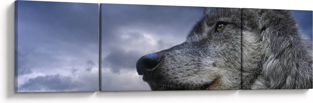 Obraz - Głowa wilka (170x50 cm)