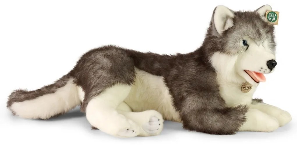 Rappa Pluszowy pies husky leżący 60 cm