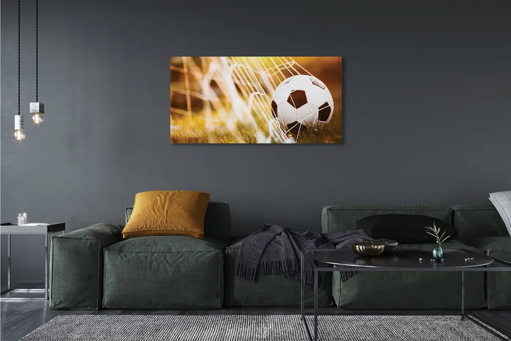 Obraz na płótnie Kontrastowy Futbol Na Murawie