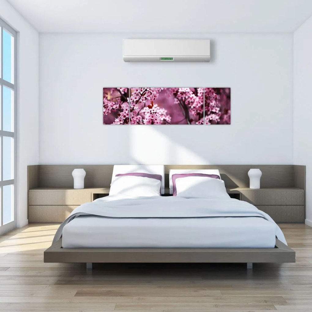 Obraz - Różowa sakura (170x50 cm)