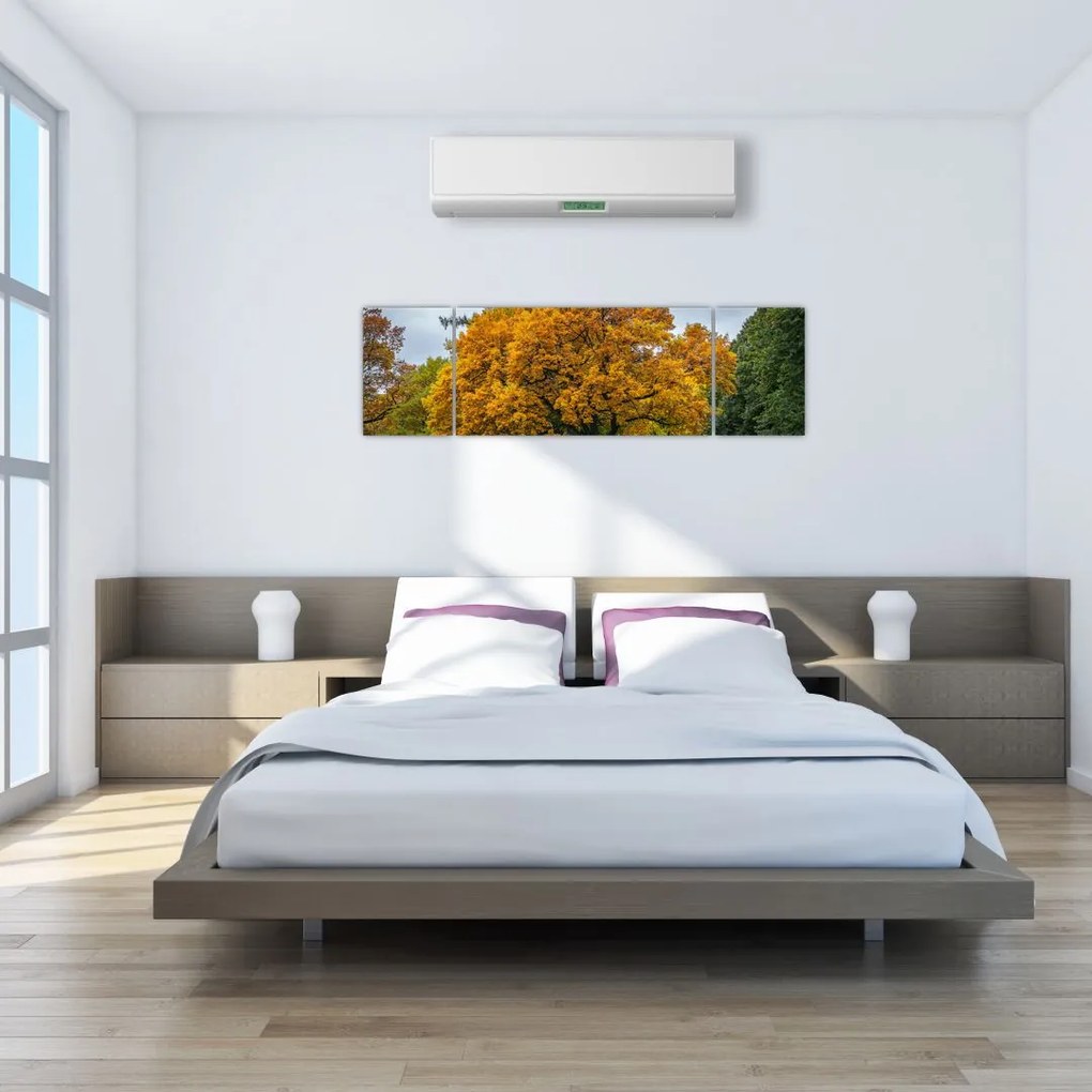 Obraz drzewa (170x50 cm)