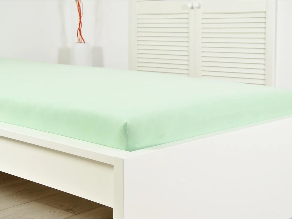 4Home prześcieradło jersey Ideal zielony, 100 x 200 cm