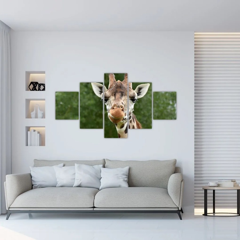 Obraz żyrafy (125x70 cm)