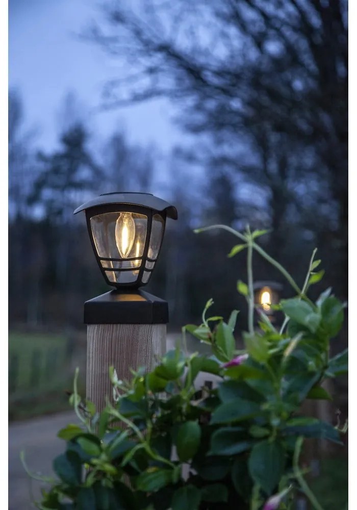 Ogrodowa lampa solarna LED Star Trading Felix, wys. 19 cm