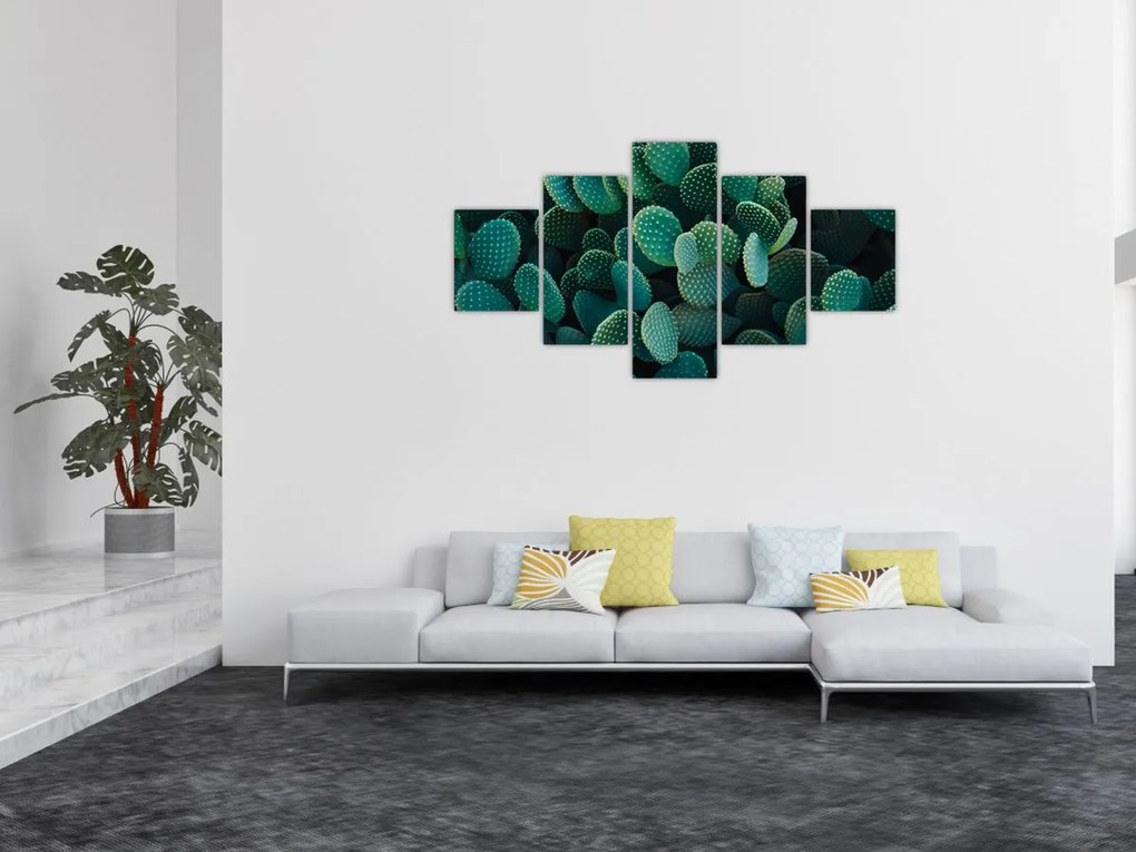 Obraz - Opuncja (125x70 cm)