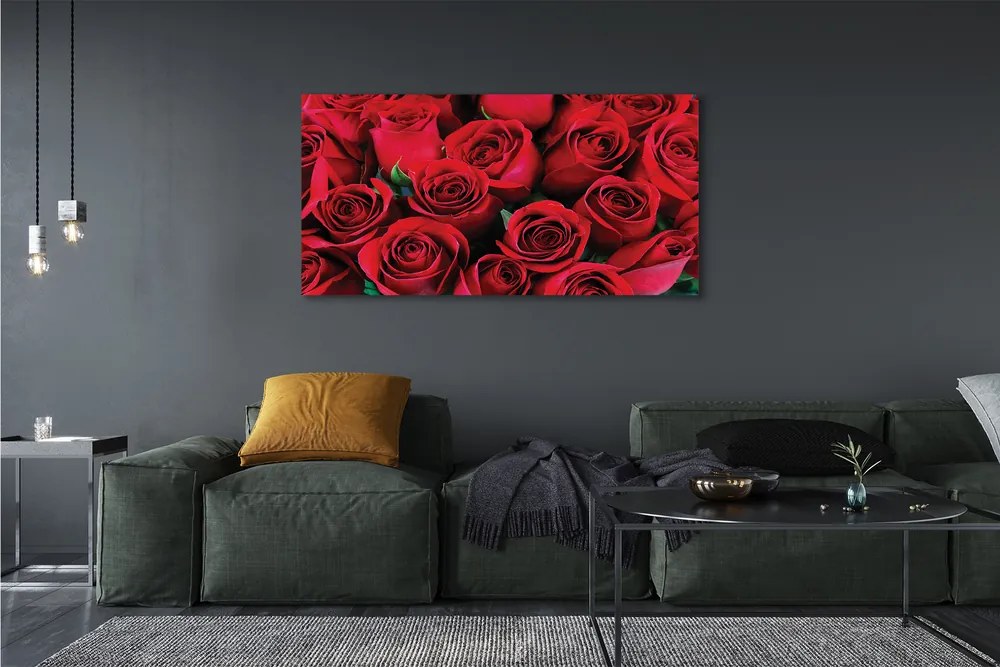 Duży obraz na płótnie Rozkwit Czerwonych Róż