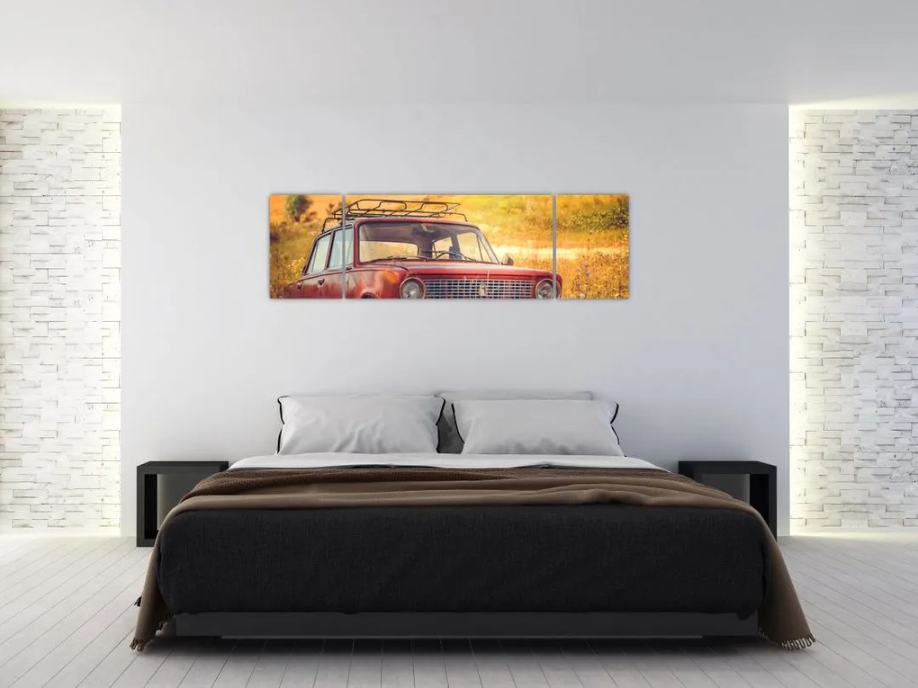 Obraz samochodu na polu (170x50 cm)