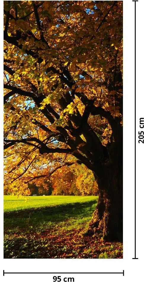 Fototapeta na drzwi - Jesień (95x205cm)