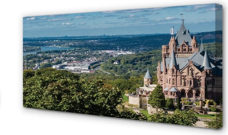 Obraz canvas na ścianę Panorama Miasta z Widokiem na Zamek