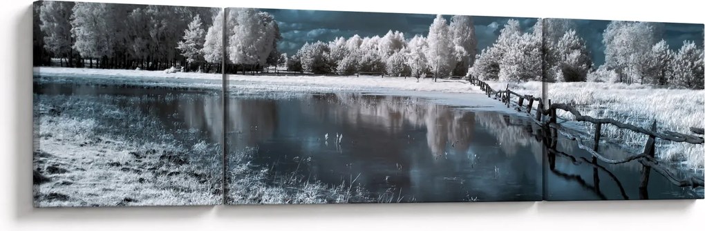 Obraz - Zamarznięty krajobraz (170x50 cm)