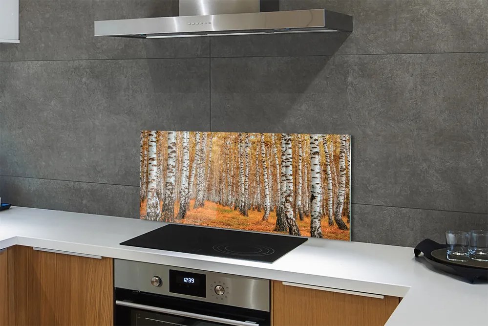 Panel szklany do Kuchni Jesienne Drzewa w Złocie