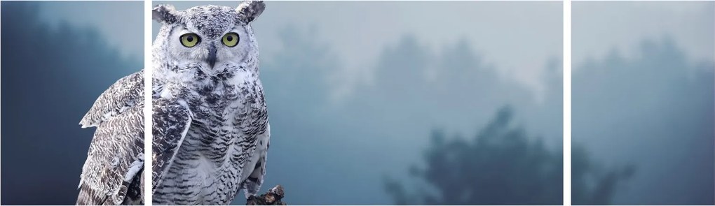 Obraz - Sowa śnieżna (170x50 cm)