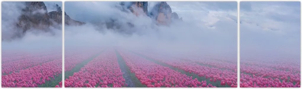 Obraz - Krajobraz z polami tulipanów (170x50 cm)