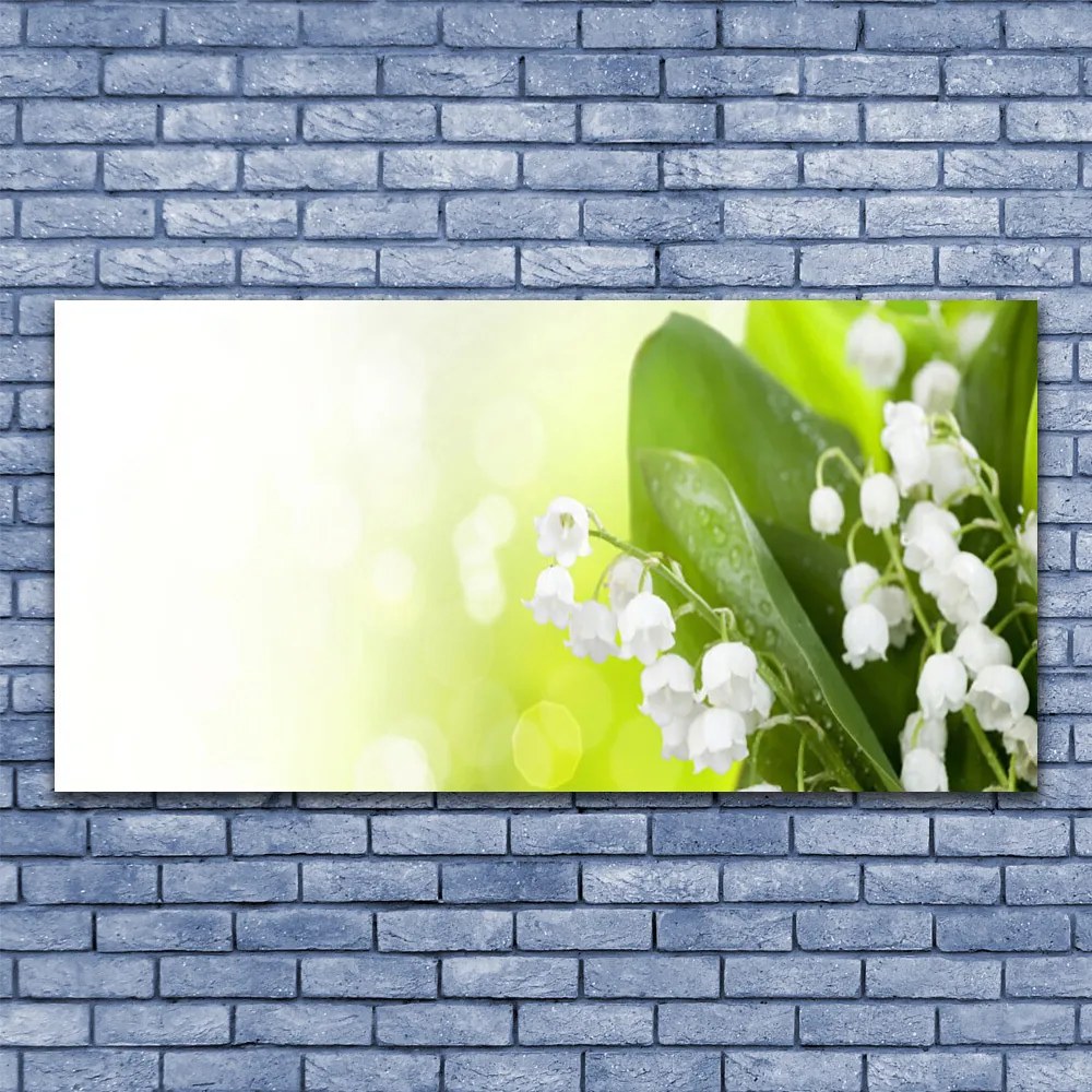 Obraz Canvas Konwalie Liście Kwiaty Łąka